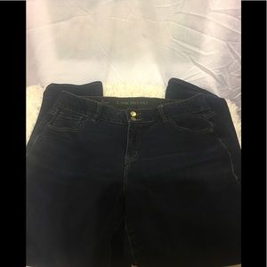 Lane Bryant  Skinny Jeans